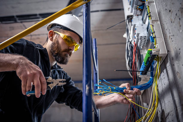 Best Electrical Rewiring Services  in Lena, IL