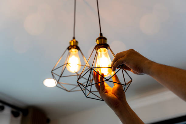 Best Electric Panel Repair  in Lena, IL